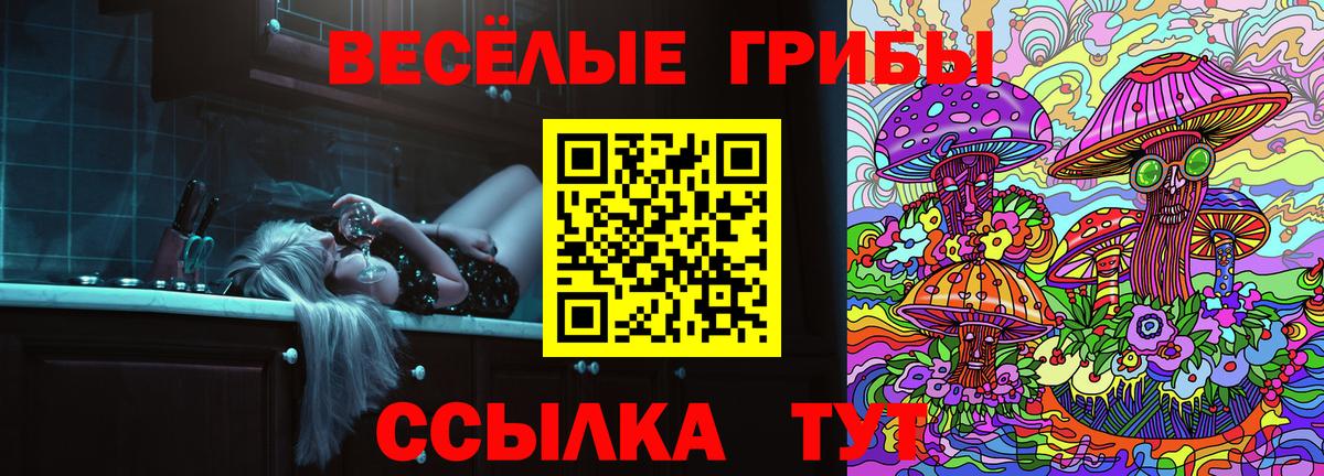 Пугачёв  Псилоцибиновые грибы Cubensis  Псилоцибиновые грибы Psilocybe  Вход с VPN 